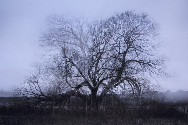 Second prix concours interuniversitaire de photographie 2013-2014